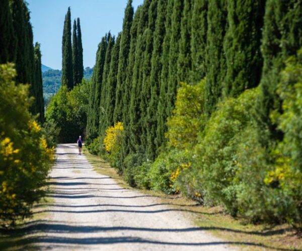 Giardino attrezzato nel Parco dei Lecci a Tenuta Il Cicalino