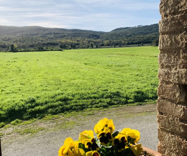 Giardino attrezzato nel Podere Lame a Tenuta Il Cicalino